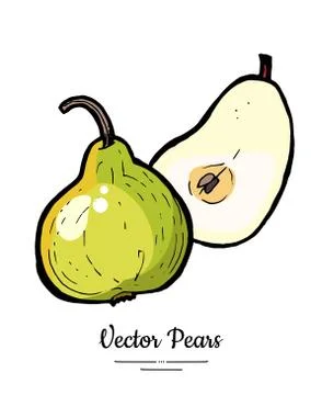 Pears fruits vector isolate. Green pear whole chopped half cut slice hand dra Stock Illustration