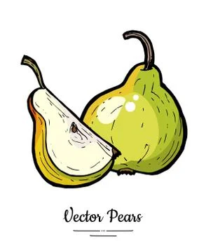 Pears fruits vector isolate. Green pear whole chopped quarter slice hand draw Stock Illustration