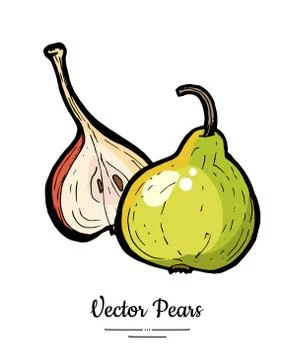 Pears fruits vector isolate. Green pear whole chopped half cut slice hand dra Stock Illustration