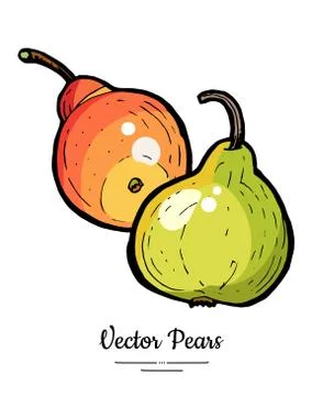 Pears fruits vector isolate Green red whole pear Fruit hand drawn illustratio Stock Illustration