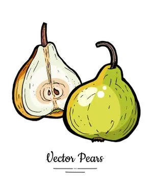 Pears fruits vector isolate. Green pear whole chopped half cut slice hand dra Stock Illustration