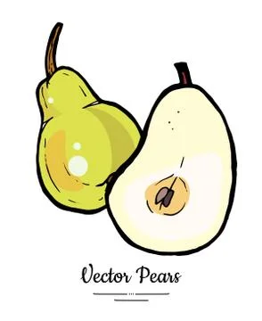 Pears fruits vector isolate. Green pear whole chopped half cut slice hand dra Stock Illustration