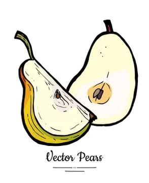 Pears fruits vector isolate. Green pear half cut chopped quarter slice hand d Stock Illustration