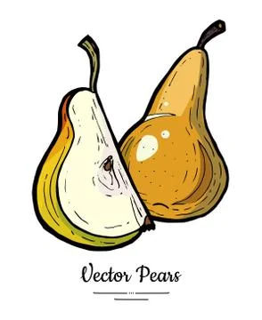 Pears fruits vector isolate. Green pear whole chopped quarter slice hand draw Stock Illustration