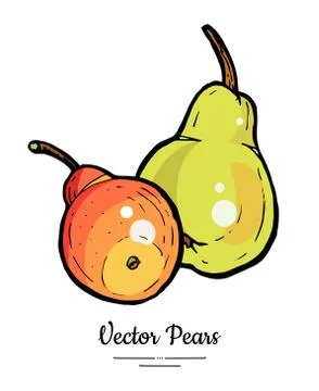 Pears fruits vector isolate Green red whole pear Fruit hand drawn illustratio Stock Illustration