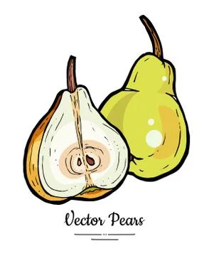 Pears fruits vector isolate. Green pear whole chopped half cut slice hand dra Stock Illustration