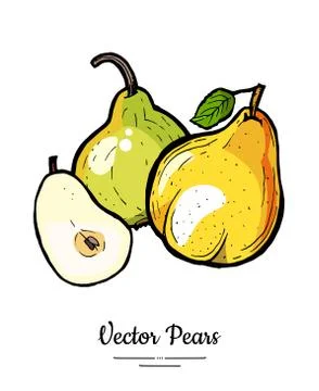 Pears fruits vector isolate. Green pear whole chopped half cut slice hand dra Stock Illustration