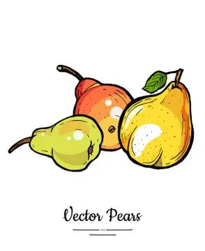 Pears fruits vector isolate Green yellow red whole pear Fruit drawn illustrat Stock Illustration