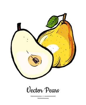 Pears fruits vector isolate. Pear whole chopped half cut slice leaf hand draw Stock Illustration