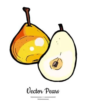 Pears fruits vector isolate. Red pear whole chopped half cut slice hand drawn Stock Illustration