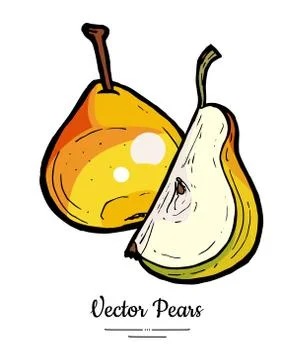 Pears fruits vector isolate. Red pear whole chopped quarter slice hand drawn  Stock Illustration