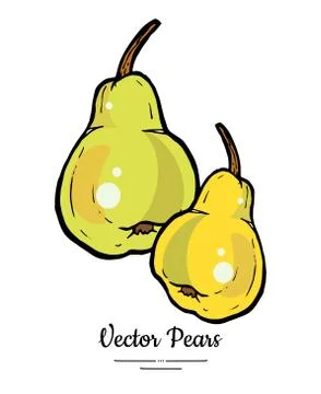 Pears fruits vector isolate Yellow green whole pear Fruit hand drawn illustra Stock Illustration
