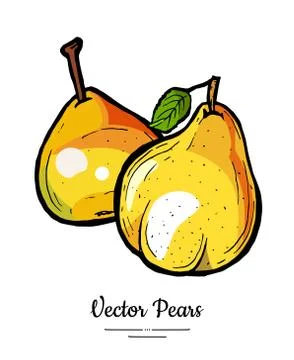 Pears fruits vector isolate. Yellow red whole pear. Fruit hand drawn illustra Stock Illustration