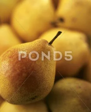 Pears (Full-Frame)