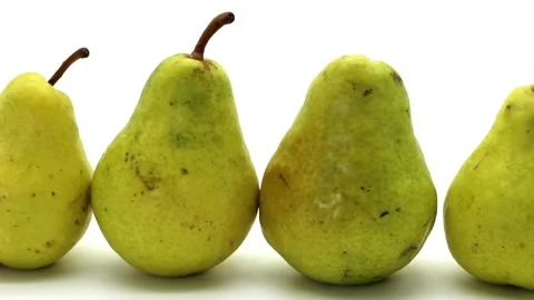 Pears isolated Stock-Footage 289589135