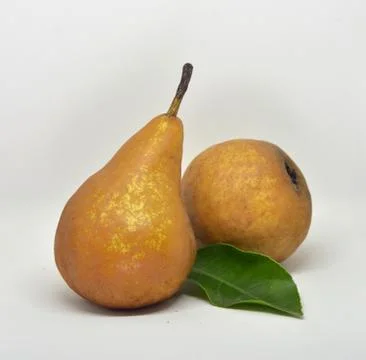 Pears isolated on white background Stock Photos