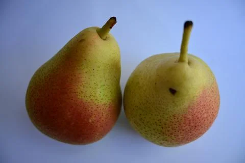 Pears path isolated with white background Stock Photos