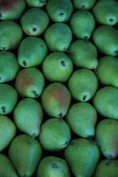 Pears Stock Photos