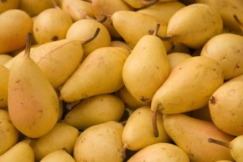 Pears Stock Photos