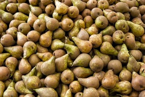 Pears Stock Photos