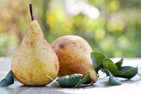 Pears Foto stock