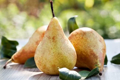 Pears Stock Photos
