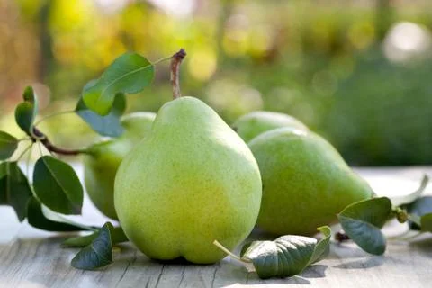 Pears Stock Photos