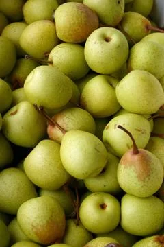 Pears Stock Photos