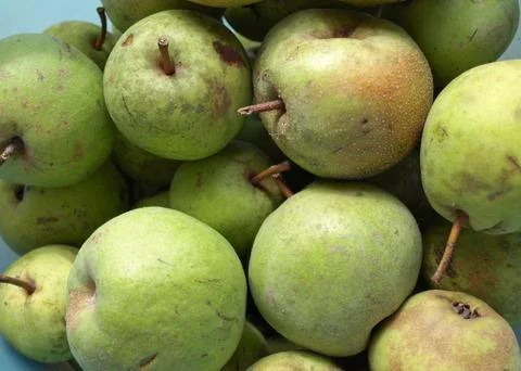 Pears picture Stock Photos