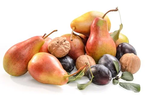 Pears, plums and walnuts on a white background with soft shadow Stock Photos