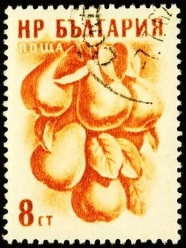 Pears on postage stamp Stock Photos