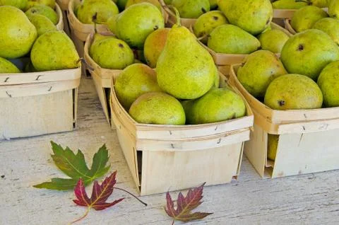 Pears in produce box Stock Photos