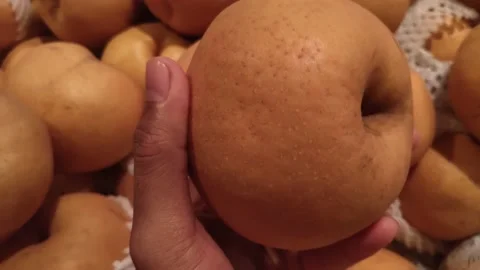 Pears (Pyrus) Video stock 149861162