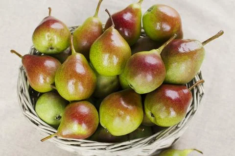 Pears ripe in a wicker basket on the table close-up. Summer harvest of vitamins. Stock Photos