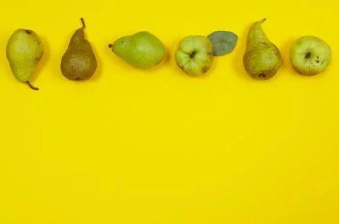 Pears in row on yellow background with copy space Stock Photos