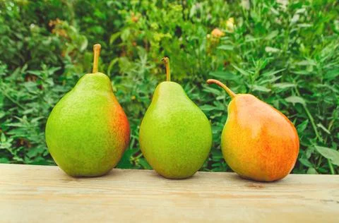 Pears on a rustic wooden table Stock Photos
