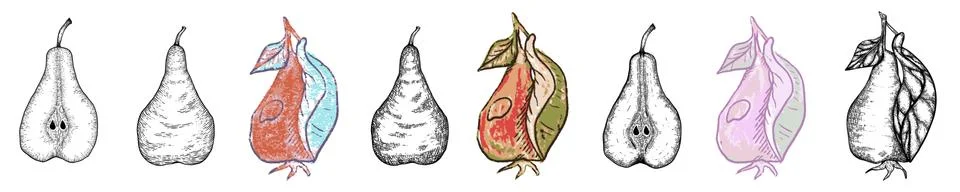 Pears set in defferent styles: engraving, pastel, watercolor and pencil drawing Stock Illustration