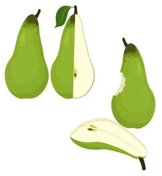 Pears vector illustration isolated on white background. Stock Illustration