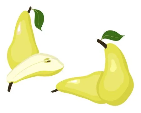 Pears vector illustration. Whole pear and a half conference pear fruit on whi Stock Illustration