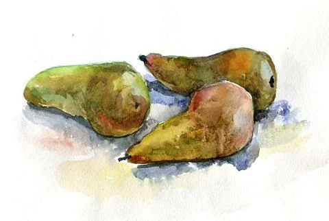 Pears watercolor Stock Illustration