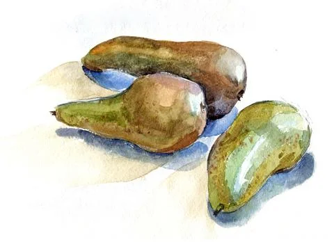 Pears watercolor Stock Illustration