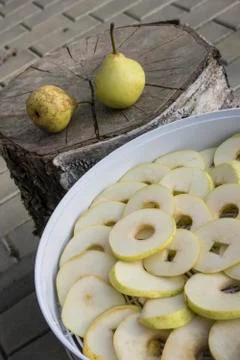 Pears will be dried in an electric dryer Stock-Fotos