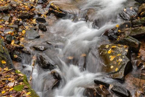 Pearsons Falls Cascade View Stock Photos