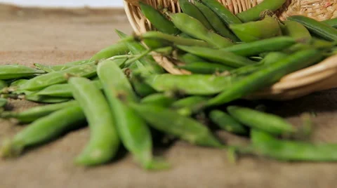 Peas and basket. close-up Stock Footage 61215445
