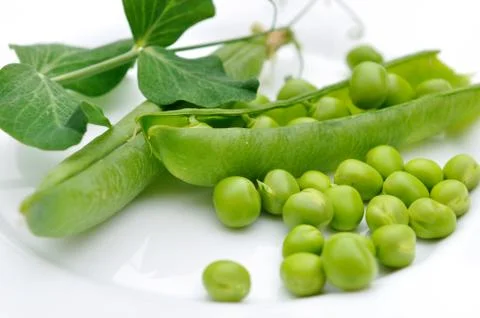 Peas and open pod Stock Photos