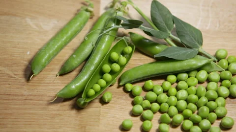 Peas and pea pods with open, closed and fresh leaf on stem on table Stock Footage 243525602