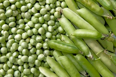 Peas background Stock Photos