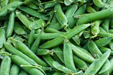 Peas, background. Stock Photos
