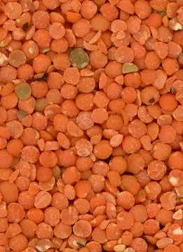 Peas backgrounds macro Stock Photos