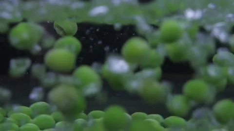 Peas on boiling water pot 4k Stock Footage 149592053